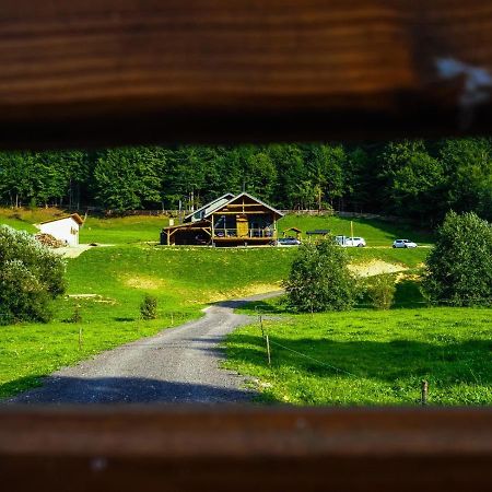 Valley House Cabana Cu Priveliste De Vis Sita Buzaului ภายนอก รูปภาพ