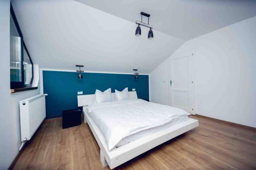 Valley House Cabana Cu Priveliste De Vis Sita Buzaului ภายนอก รูปภาพ