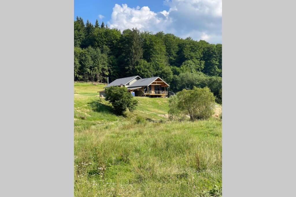 Valley House Cabana Cu Priveliste De Vis Sita Buzaului ภายนอก รูปภาพ