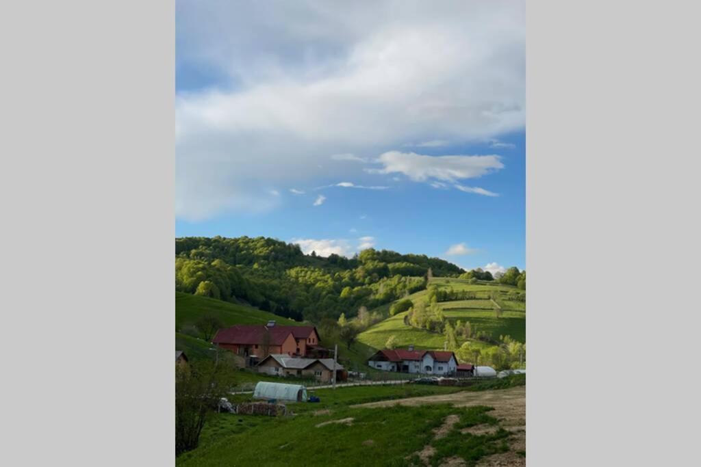 Valley House Cabana Cu Priveliste De Vis Sita Buzaului ภายนอก รูปภาพ
