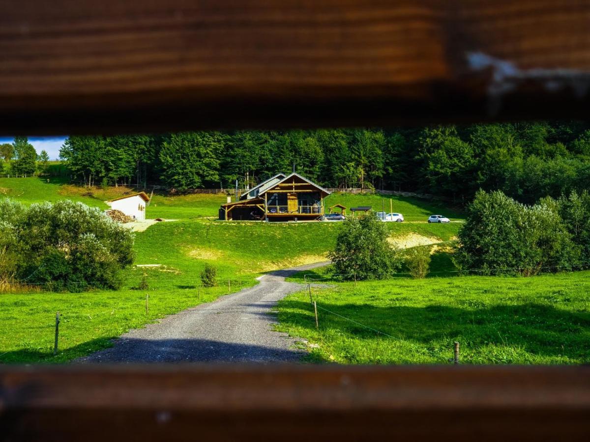 Valley House Cabana Cu Priveliste De Vis Sita Buzaului ภายนอก รูปภาพ